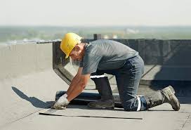 Best Asphalt Shingle Roofing  in Fosston, MN